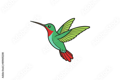 Humming bird cartoon art vector art illustration