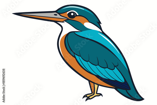 kingfisher bird vector art white background