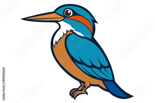kingfisher bird vector art white background