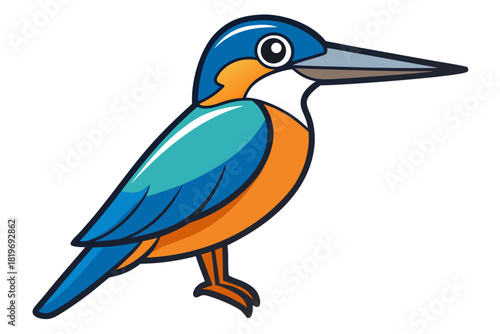 kingfisher bird vector art white background