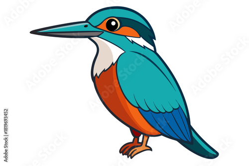 kingfisher bird vector art white background