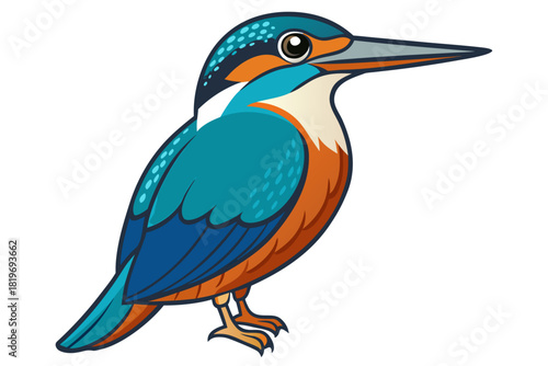 kingfisher bird vector art white background