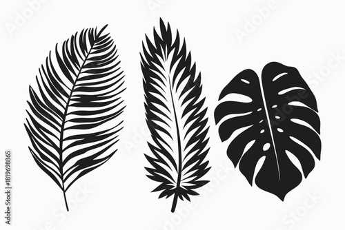 Three beautiful monochrome silhouettes of palm fronds and monstera leaf appear bold and minimalist