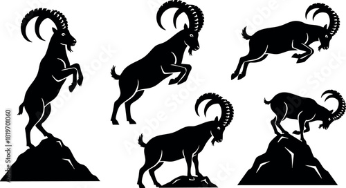 Mountain goat vector illustration with black silhouettes in different poses on rocks natural wildlife set