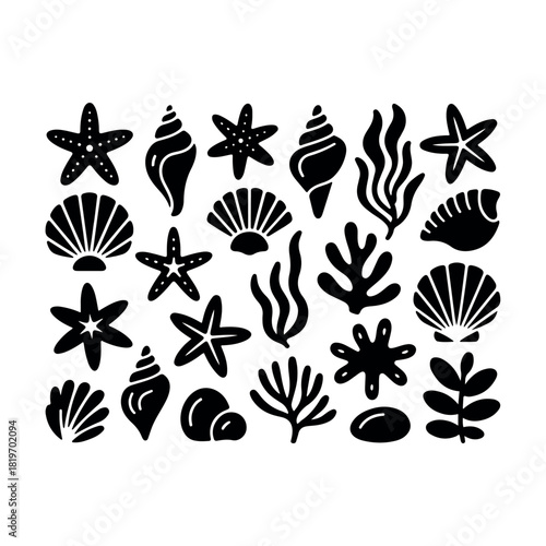Minimal sea shells and starfish silhouette vector

