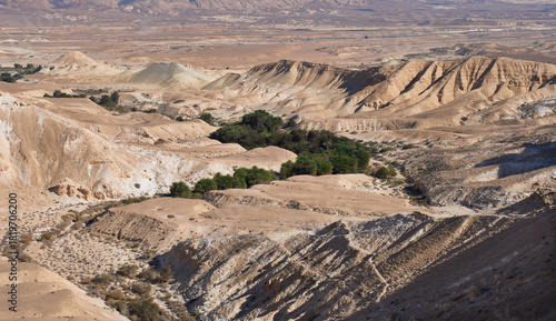 Tableau sur toile Panoramic view of oasis in the Negev Desert nature reserve, created by Ein Zik spring