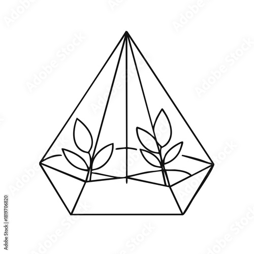 Modern geometric glass terrarium with growing plants vector line art illustration