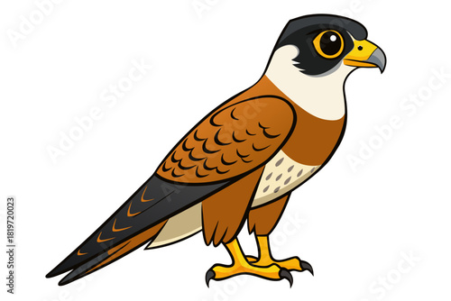 Falcon bird cartoon art vector illustration