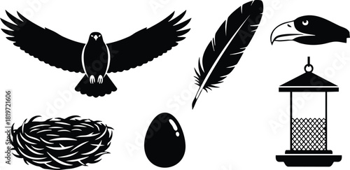 Eagle silhouette flying feather egg nest and bird feeder vector illustration simple design