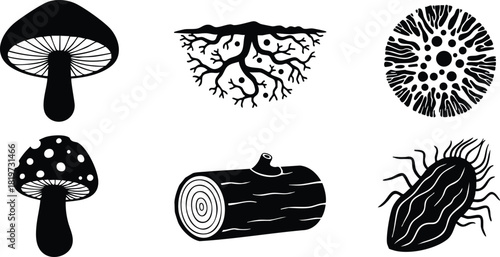 Black and white vector icons of mushroom fungus roots wood log and beetle insect silhouette collection