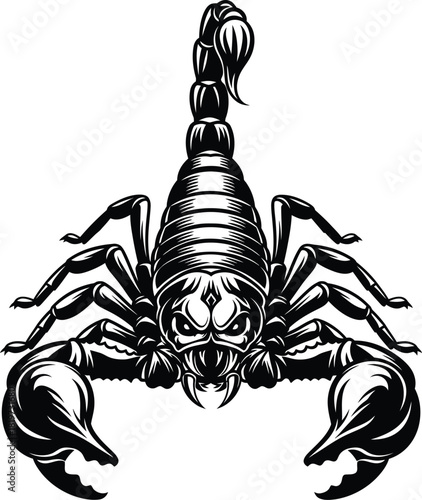 Scorpion illustration vector graphic design black and white tattoo art eps silhouette