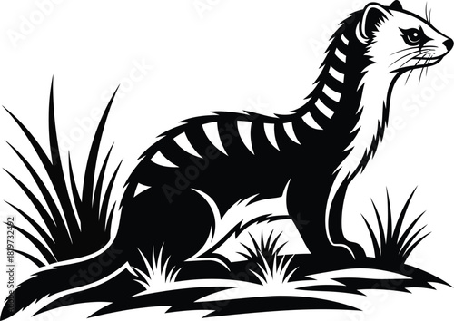 Find black and white ferret vector illustration with grass design art eps silhouette