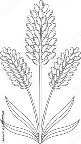 Wheat stalk outline drawing vector illustration stock image design eps silhouette
