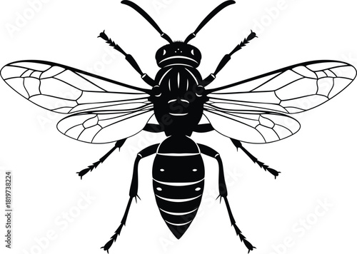 Vector graphic of a black and white wasp insect illustration design eps silhouette