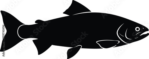 Isolated black silhouette of a salmon fish illustration vector graphic eps