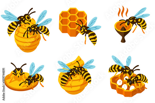 Wasp Nest Construction. Isometric vector illustration set Social wasp nest construction: wasps producing papery layers, hexagonal