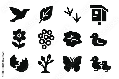 Seasonal Wildlife Icons. Solid style icons of Seasonal Wildlife: Migrating Bird, Fallen Leaf, Snow Track, Nesting Box, Flower