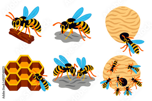Wasp Nest Building. Isometric vector illustration set Social wasp nest construction: wasps chewing wood fibers, forming papery