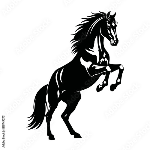 A black and white illustration of a rearing horse with detailed mane and tail design style art