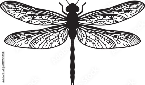 Stylized black and white dragonfly vector illustration with intricate wing details, perfect for nature, insect, and wildlife designs.