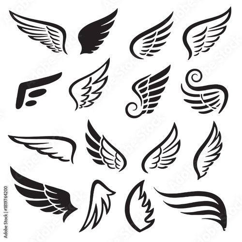 black and white wings vector design 
