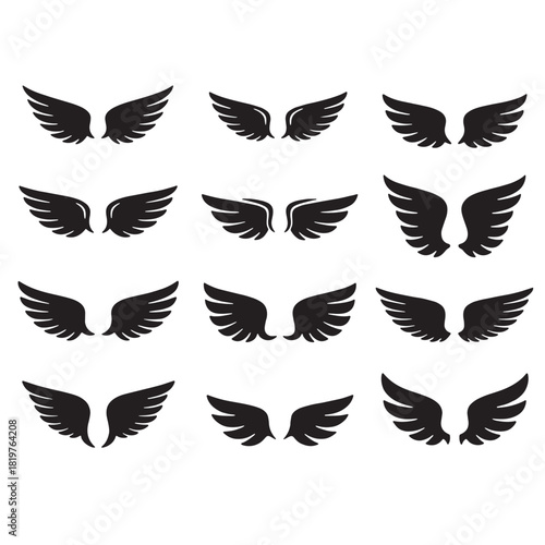 black and white wings vector design 