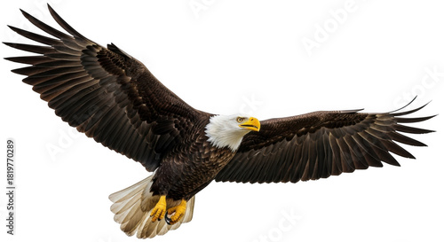 Fototapeta Naklejka Na Ścianę i Meble -  Collection of summer beach vacation icons including umbrella flip flops wave juice drink mask ball and sandcastle isolated on transparent background