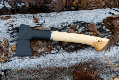 Axe on fallen tree