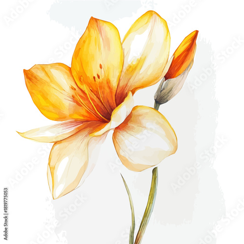 Watercolor_style_painting_of_a_saffron_flower_Simple Hand-painted watercolor style, vectorized, painting style, vector set available in EPS.