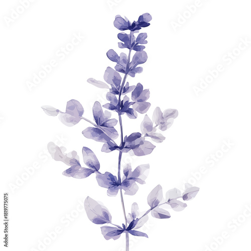 Purple flower
_Watercolor_style_painting_of_a_salvia_flower_Simple Hand-painted watercolor style, vectorized, painting style, vector set available in EPS