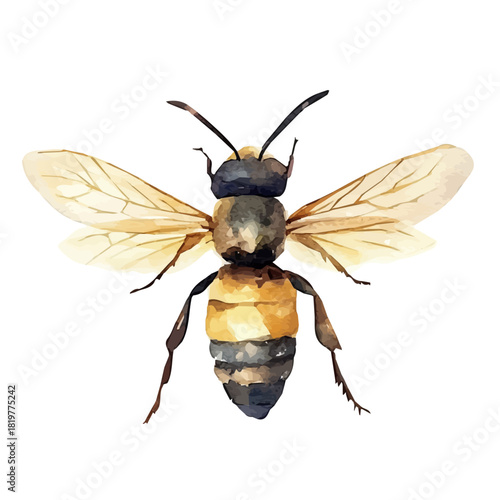 Watercolor_style_painting_of_a_wasp_on_a_white_Hand-painted style, vectorized, vector set available in EPS