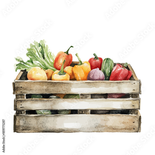 Watercolor_style_painting_of_a_wooden_crate_with_vegetabales, Hand-painted style, vectorized, vector set available in EPS, plant set