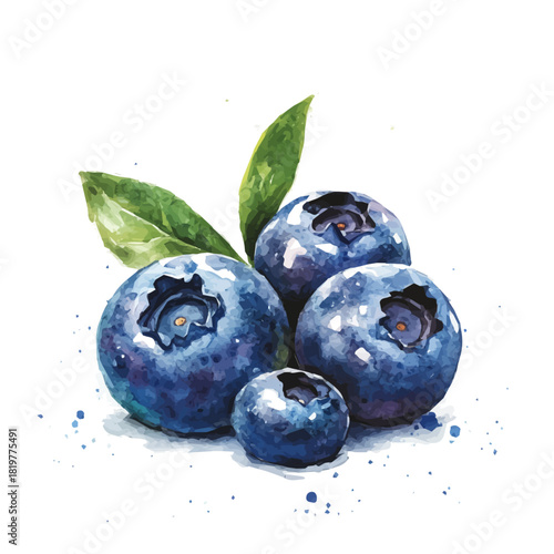 painting_of_fresh_blueberry_on_a_white_Hand-painted watercolor style, vector set available in EPS, vectorized, fruit set