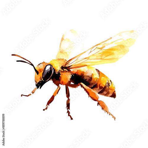 Yellow bee painting design set Hand-painted style, vectorized, vector set available in EPS, Simple Hand-painted watercolor style