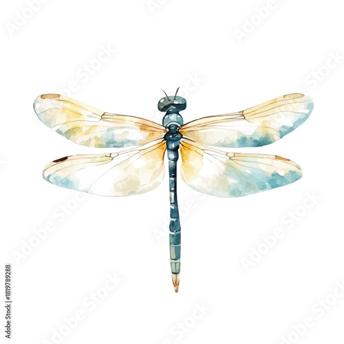Beautiful dragonfly painting design set Hand-painted style, vectorized, vector set available in EPS, Simple Hand-painted watercolor style