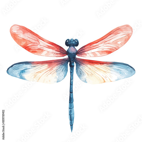 A hand-painted dragonfly painting design Hand-painted style, vectorized, vector set available in EPS, Simple Hand-painted watercolor style insect set