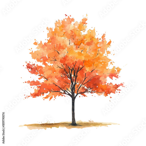 Autumn orange maple tree painting design set Hand-painted style, vectorized, vector set available in EPS, Simple Hand-painted watercolor style
