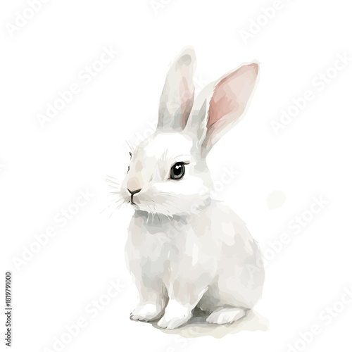 White rabbit painting design set Hand-painted style, vectorized, vector set available in EPS, Simple Hand-painted watercolor style