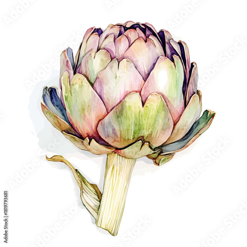 Beautiful artichoke painting design set Hand-painted style, vectorized, vector set available in EPS, Simple Hand-painted watercolor style