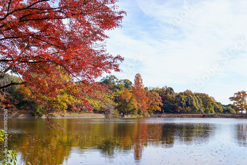 秋の色に染まる湖のほとり