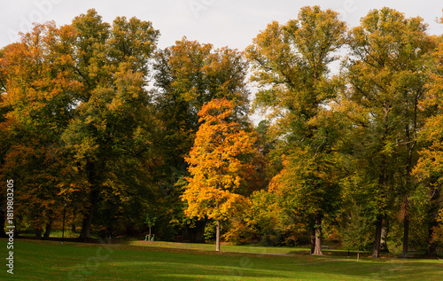 Canvas Print Autumn forest landscape in Hagaparken, a city park in Stockholm, Sweden