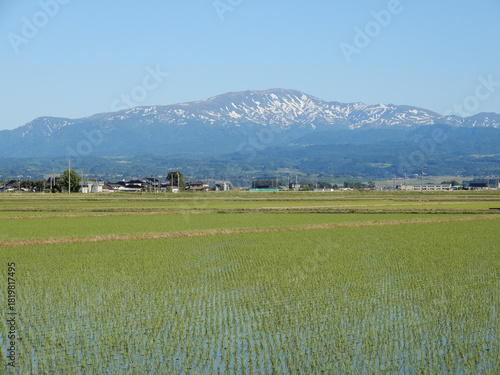 月山 日本百名山 山形県 出羽三山