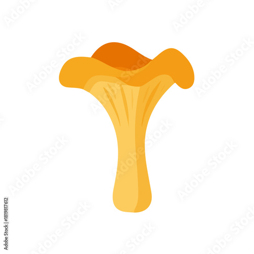Minimalist illustration, A clipart flat 2D icon, minimal design, simple illustration with EPS format design of a chanterelle mushroom isolated on white and transparent background
