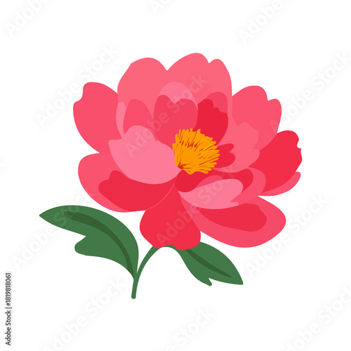 Attractive Minimalist illustration, A clipart flat 2D icon, minimal design, simple illustration with EPS format design of a pink peony flower isolated on white and transparent background