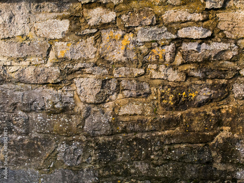 A wall made of stone with moss growing on it. The wall is old and has a rough texture