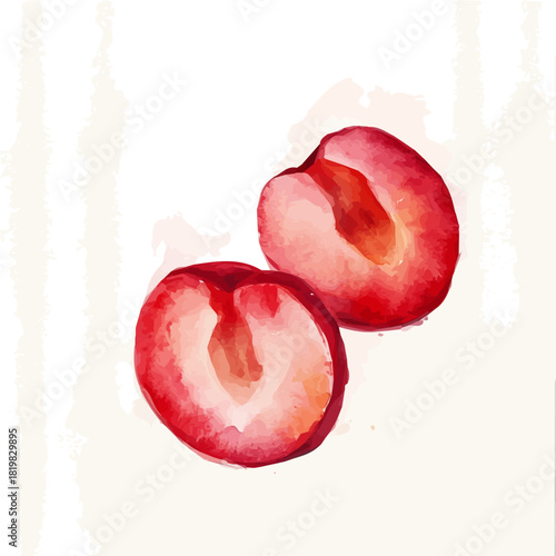 Watercolor_style_painting_of_a_sliced_cherry_on_a_white_Hand-painted style, vectorized, vector set available in EPS