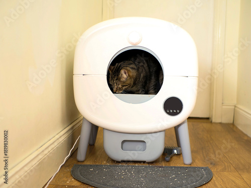 Tabby cat in large mechanical self cleaning cat litter box with small display and remote control. Cleaning house clean and getting rid of pet droppings concept. Modern technology to make life easier.