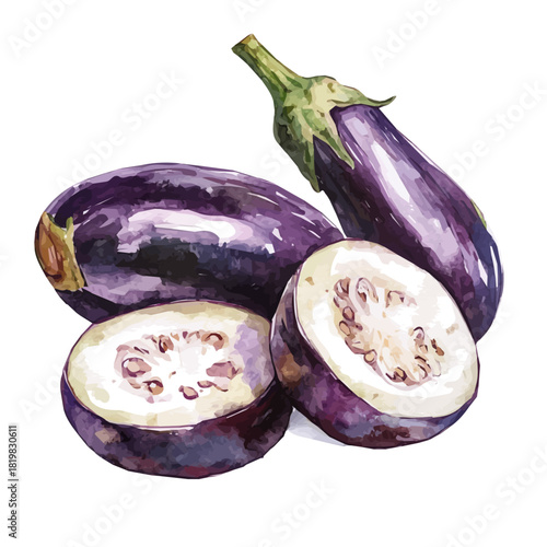 Purple sliced eggplant painting design set, Hand-painted style, vectorized, vector set available in EPS, Simple Hand-painted watercolor style plant