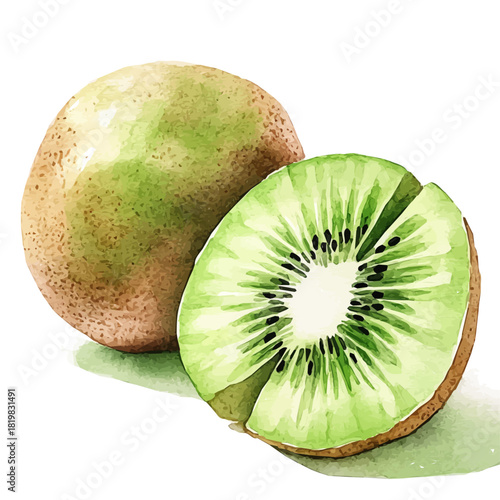 Beautiful sliced_kiwi and whole kiwi painting design set. Hand-painted style, vectorized, vector set available in EPS, Simple Hand-painted watercolor style