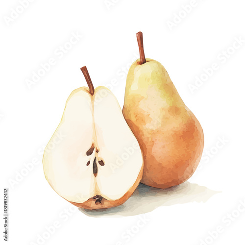 Simple Beautiful pearls painting design set Hand-painted style, vectorized, vector set available in EPS, Simple Hand-painted watercolor style